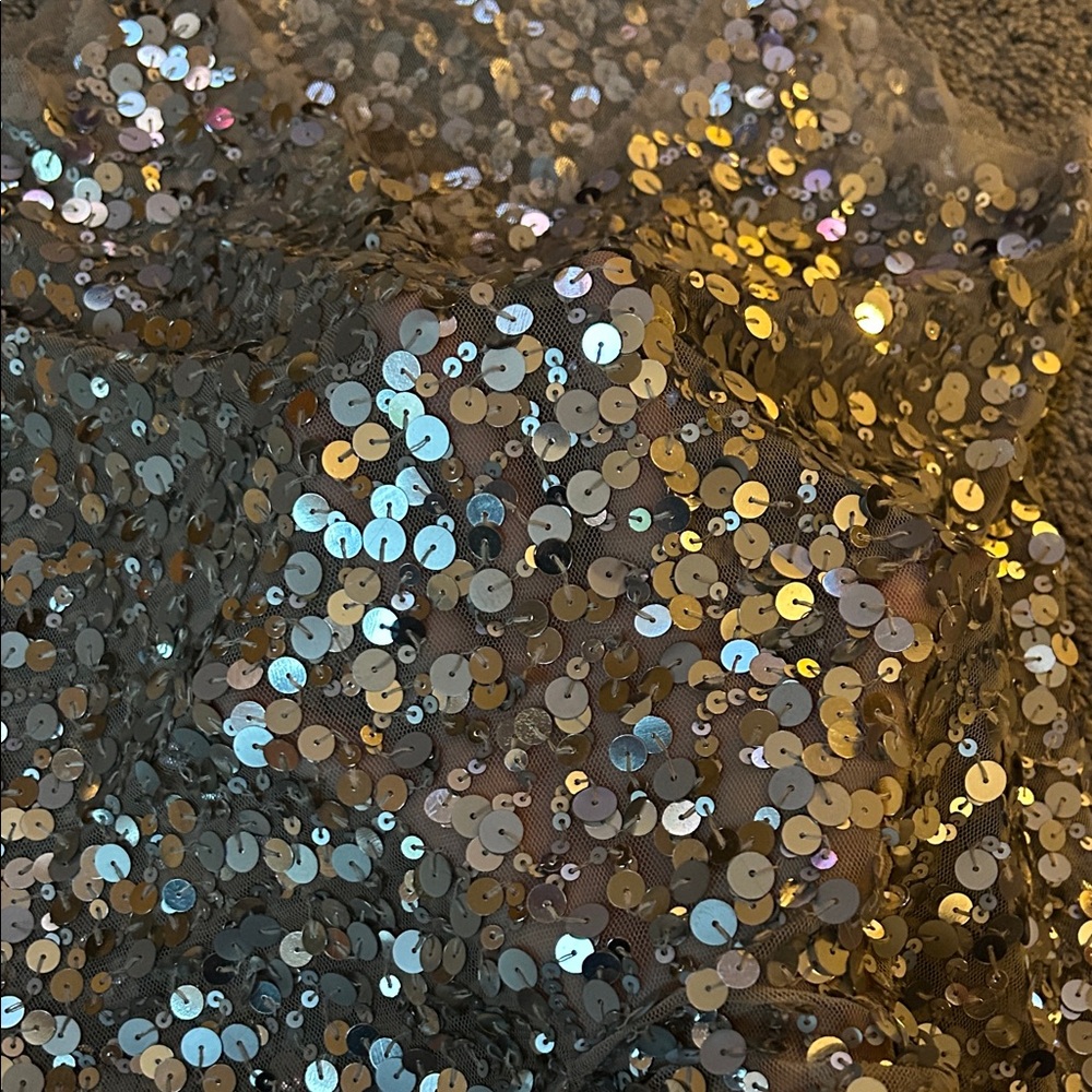 Vanity Sequin Tank Top - Silver and Gold - Picture 3 of 5